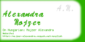 alexandra mojzer business card